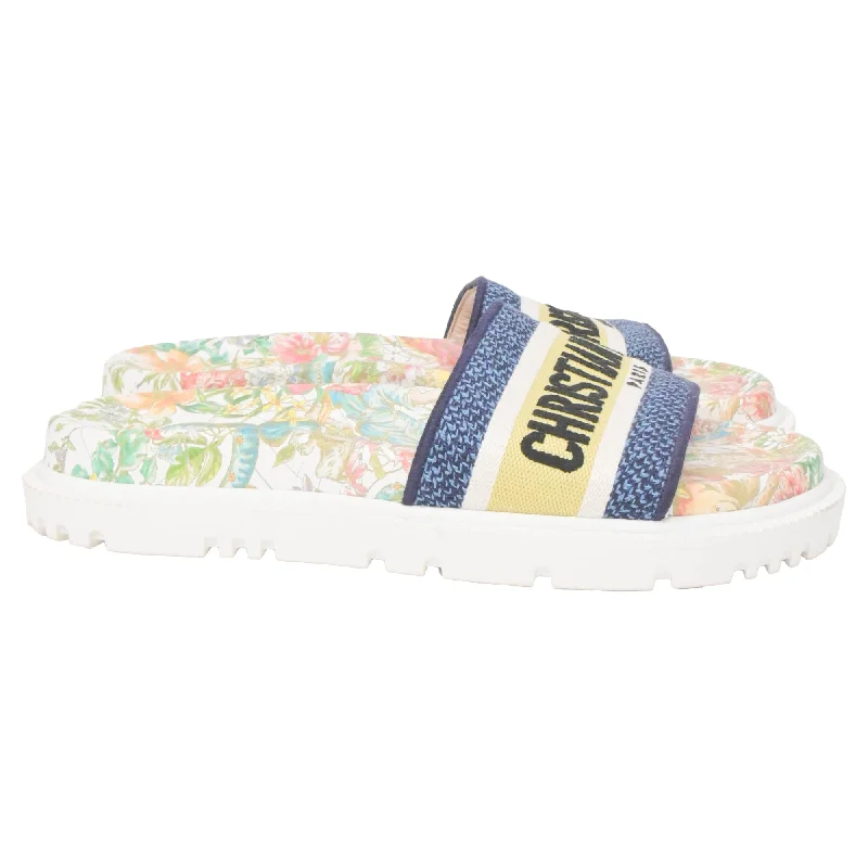 Stylish Slip-On Shoes Dior D-Constellation Embroidered Dway 10mm Slides in Multicolor Canvas